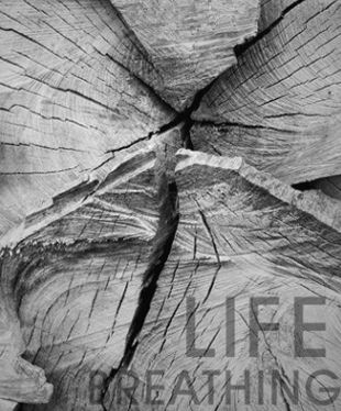 մɽ(jng)N(xio)̵ġʹc(din)λ?